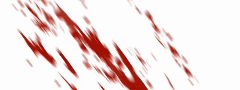 Mình Tao Là Siêu Việt Giả Mạnh Nhất! 23 trang 557