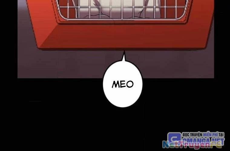 Mình Tao Là Siêu Việt Giả Mạnh Nhất! 27 trang 146