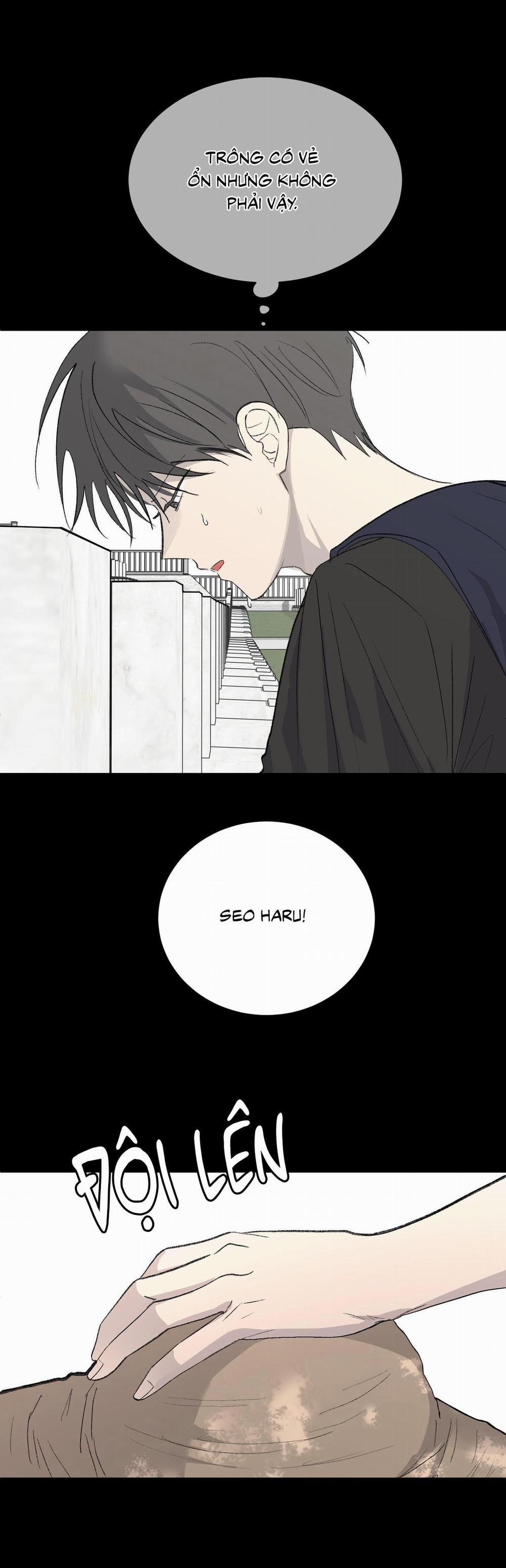 Missing Romance 33 trang 28