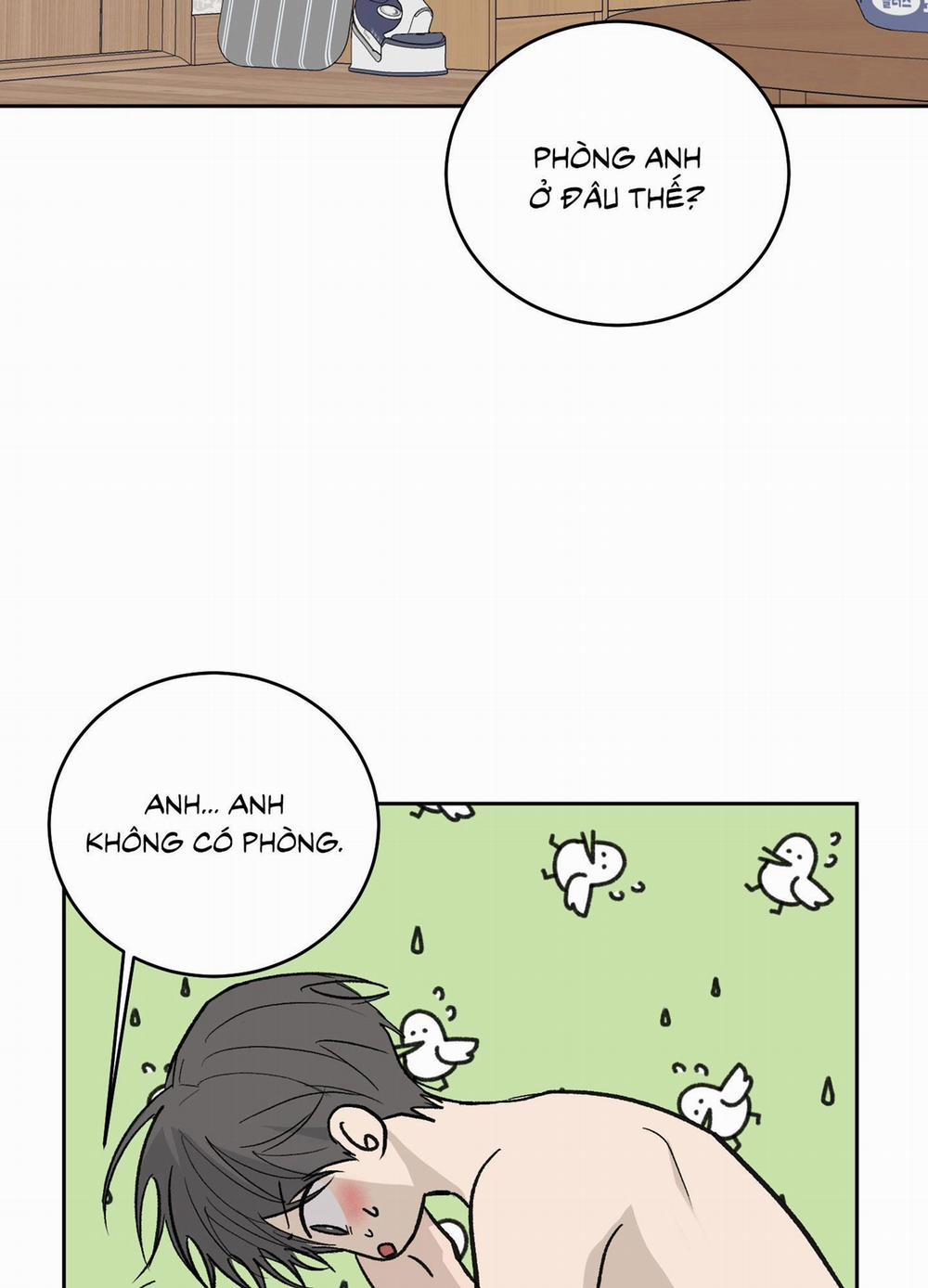 Missing Romance 51 trang 12