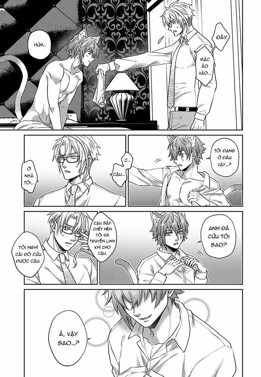 Mofumofu Bakashiai Nikki 3 trang 17