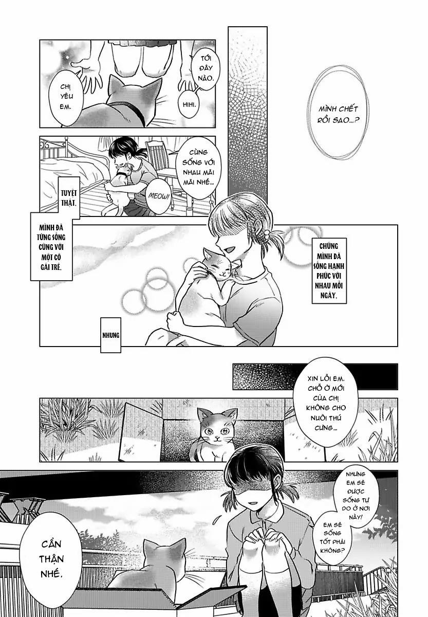 Mofumofu Bakashiai Nikki 3 trang 7