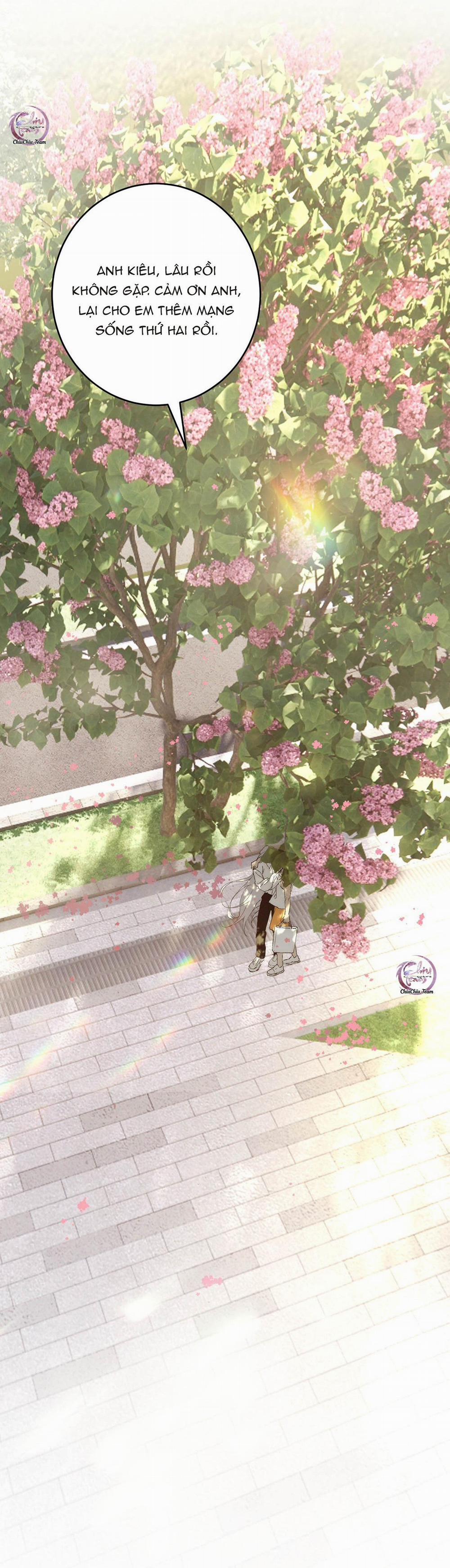 Mỗi Ngày Đều Muốn Làm Hoàng Tử Ốm Yếu Đội Quần 4 trang 38