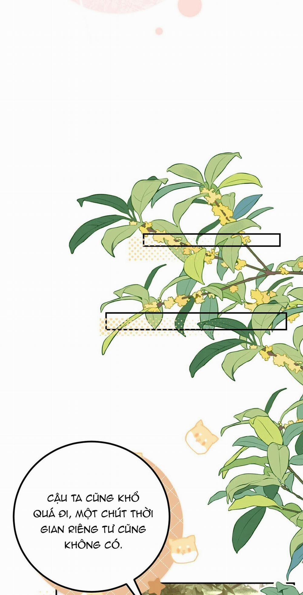 Mỗi Ngày Đều Muốn Làm Hoàng Tử Ốm Yếu Đội Quần 5 trang 8