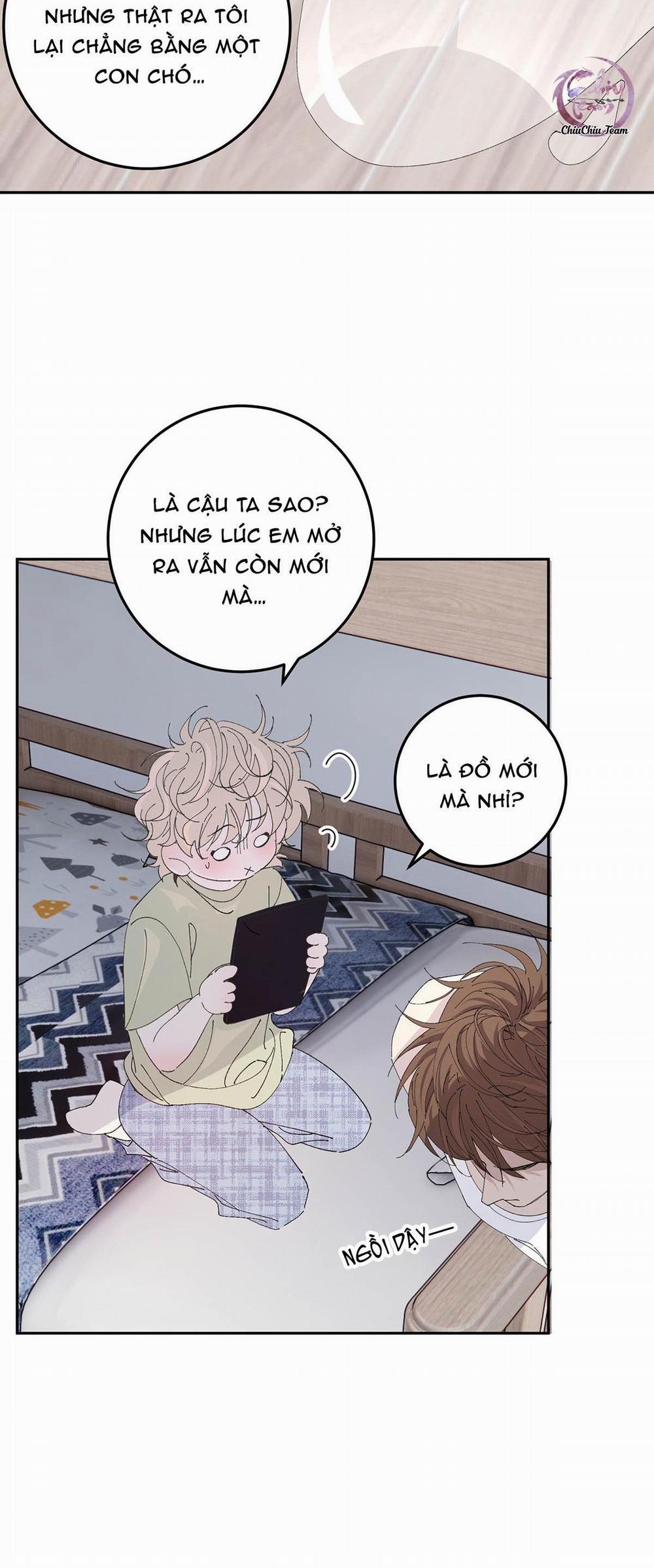 Mỗi Ngày Đều Muốn Làm Hoàng Tử Ốm Yếu Đội Quần 7 trang 13