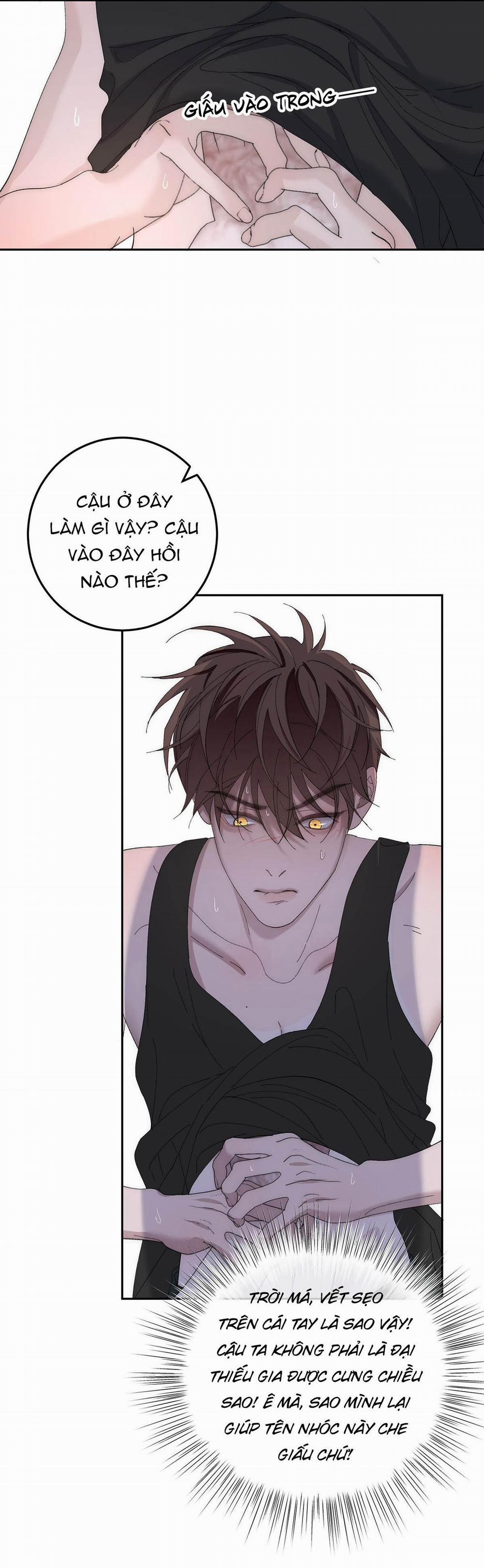 Mỗi Ngày Đều Muốn Làm Hoàng Tử Ốm Yếu Đội Quần 8 trang 9