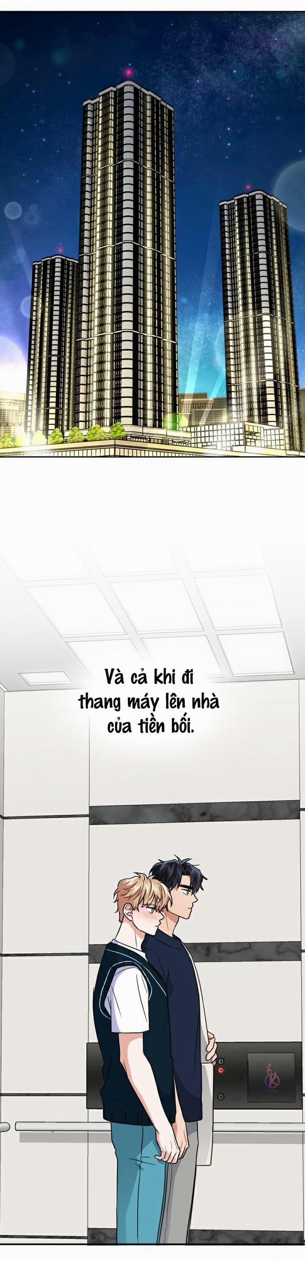 Mồi nhử 29.5 trang 0
