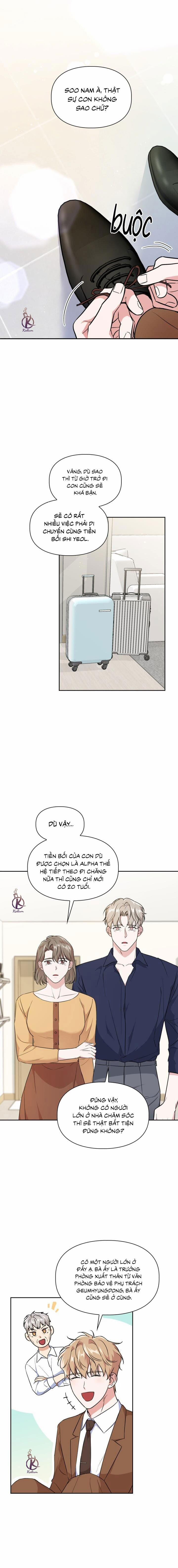 Mồi nhử 80 trang 12