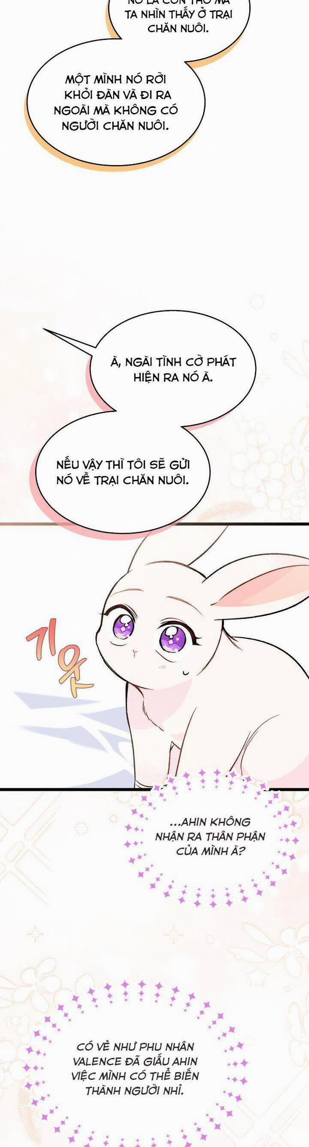 Mối Quan Hệ Cộng Sinh Giữa Báo Đen Và Thỏ Trắng 128.2 trang 1
