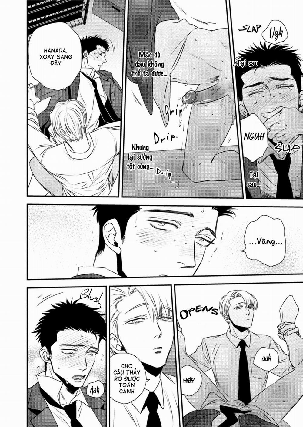 Mối Quan Hệ Giữa Bướm Và Hoaa 1.5 H+ trang 13