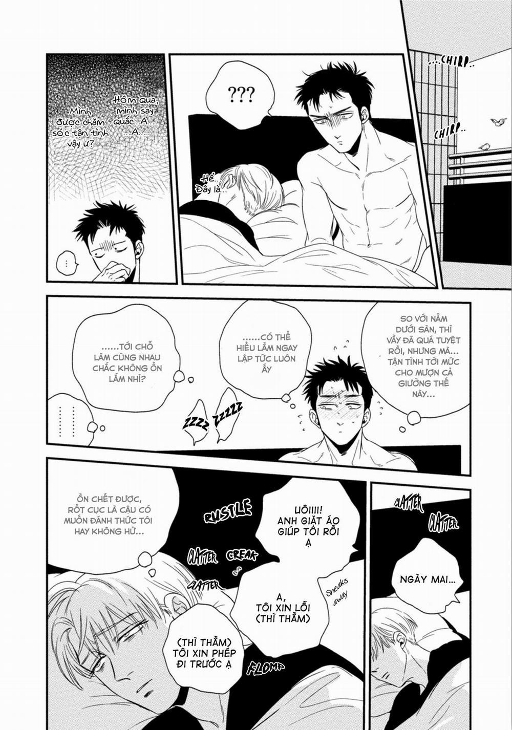 Mối Quan Hệ Giữa Bướm Và Hoaa 1 trang 20