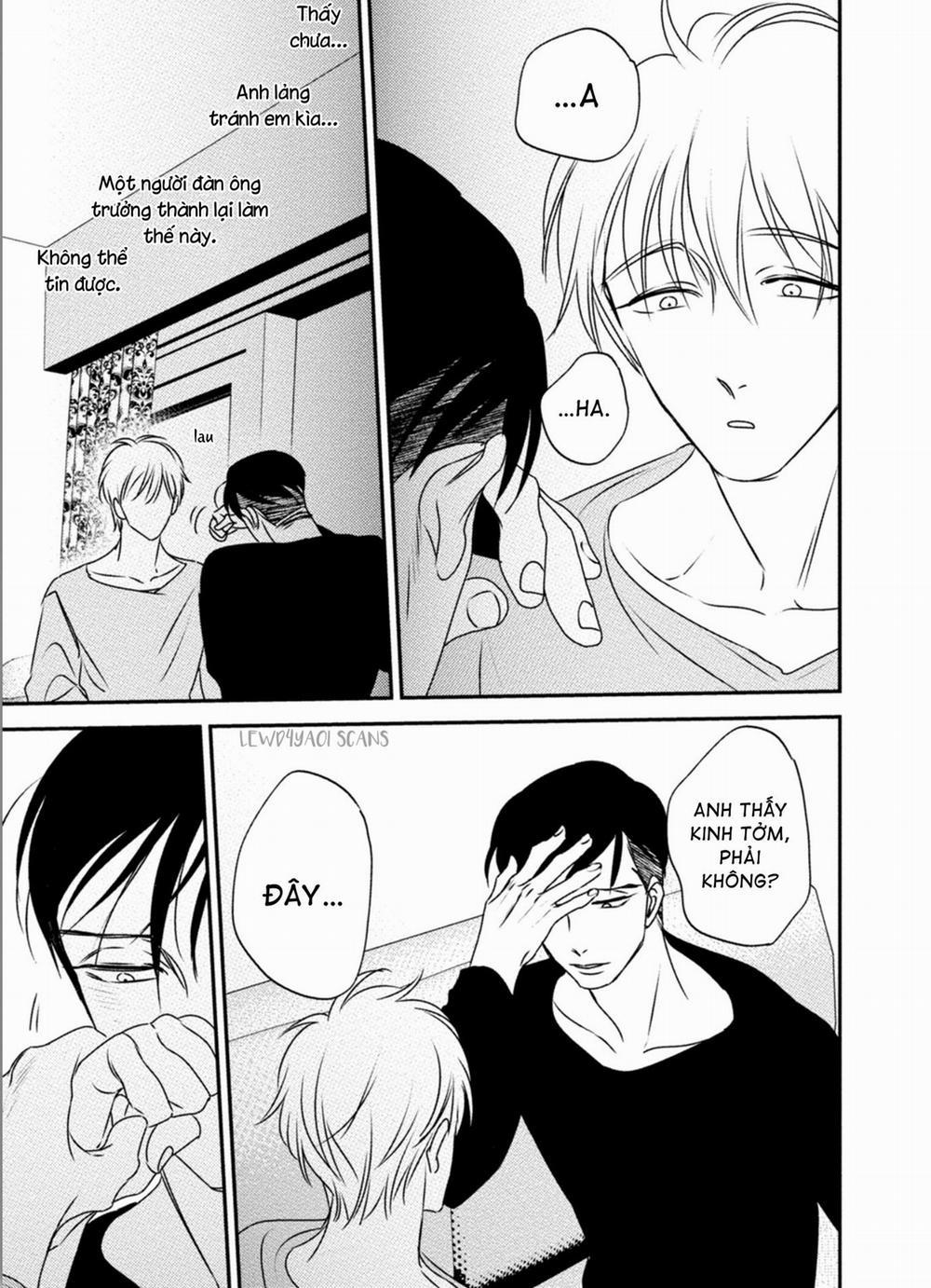 Mối Quan Hệ Giữa Bướm Và Hoaa 5 H+ trang 22