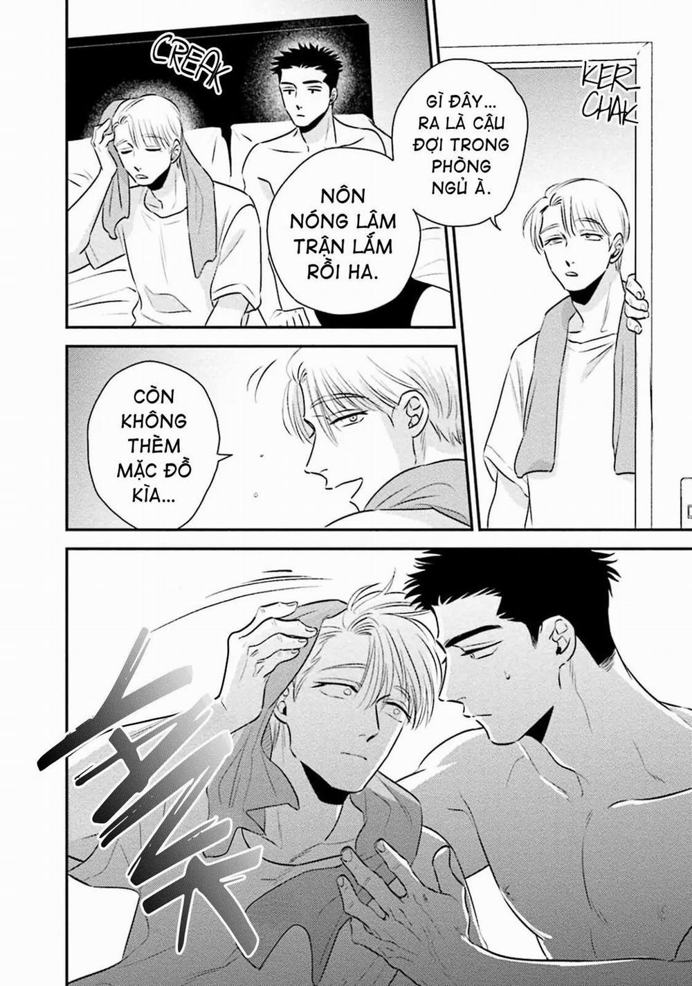 Mối Quan Hệ Giữa Bướm Và Hoaa 7 trang 11