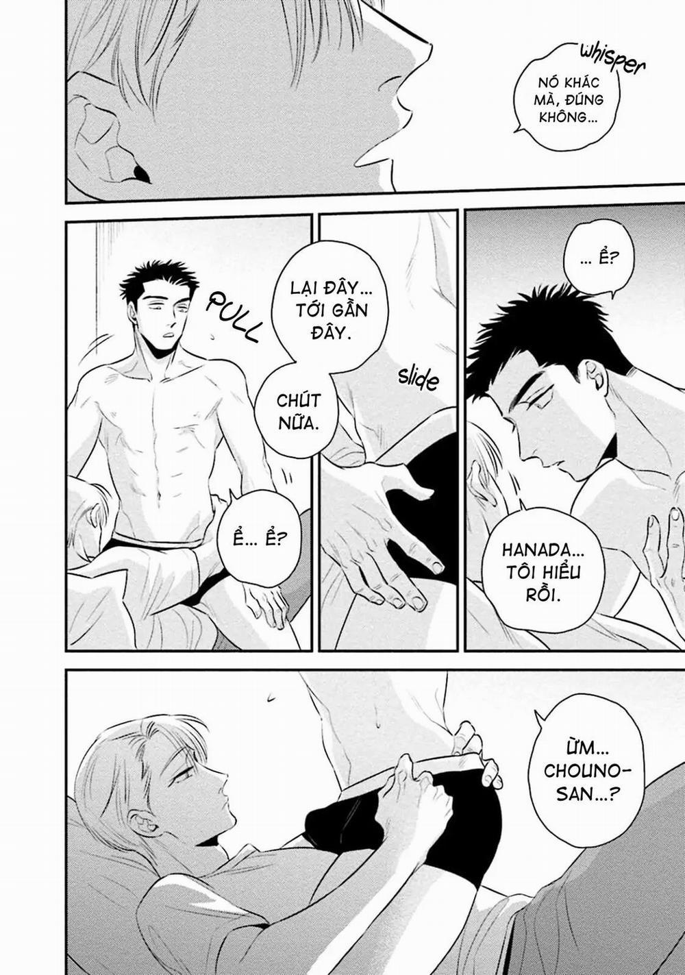 Mối Quan Hệ Giữa Bướm Và Hoaa 7 trang 17