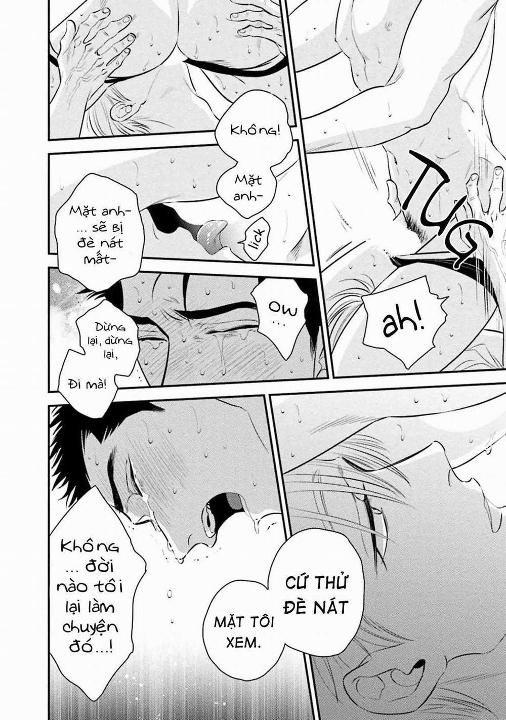 Mối Quan Hệ Giữa Bướm Và Hoaa 7 trang 21