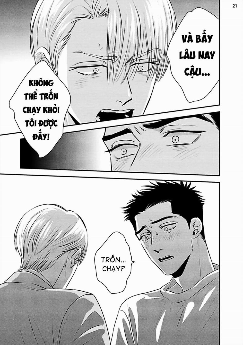 Mối Quan Hệ Giữa Bướm Và Hoaa 8 trang 22