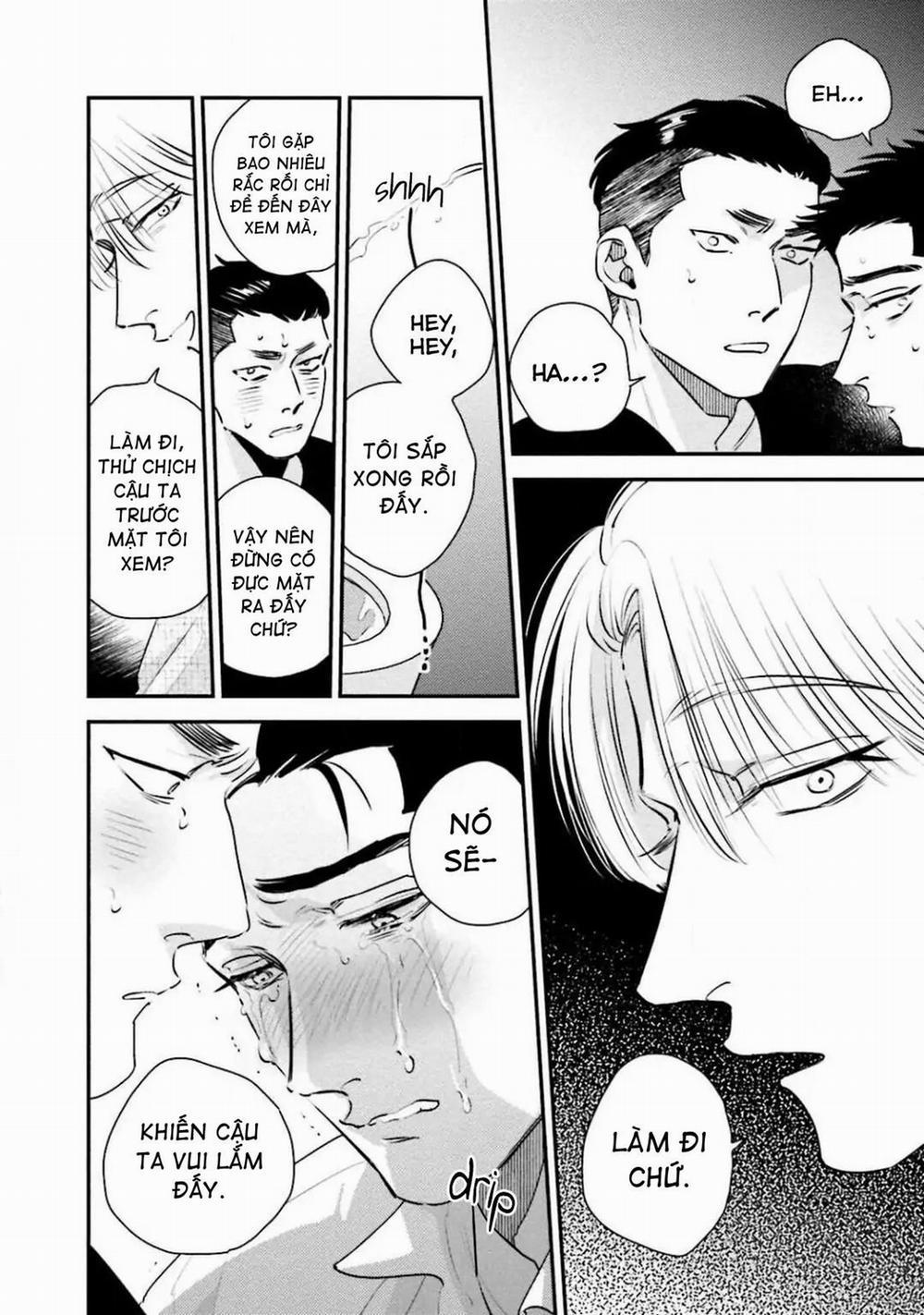 Mối Quan Hệ Giữa Bướm Và Hoaa 9 END trang 5