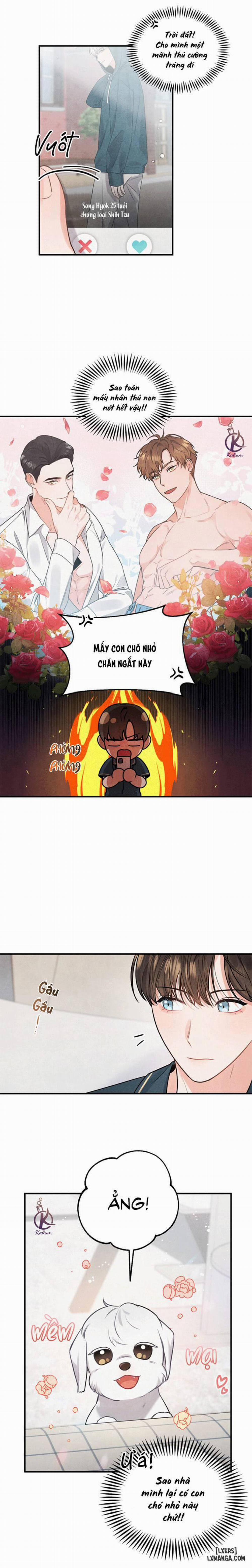Mối quan hệ vụng về 1 trang 1