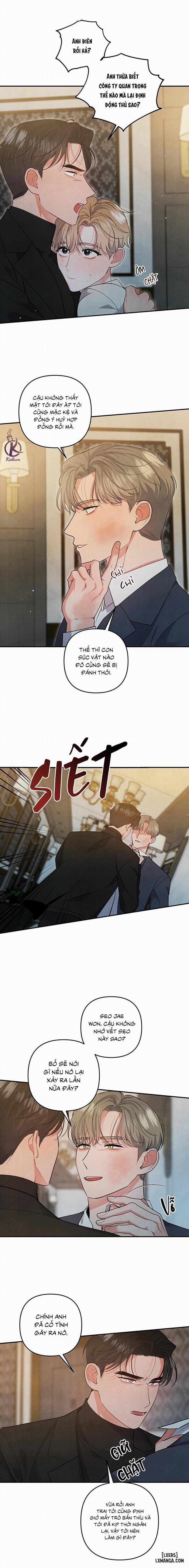 Mối quan hệ vụng về 65 trang 11