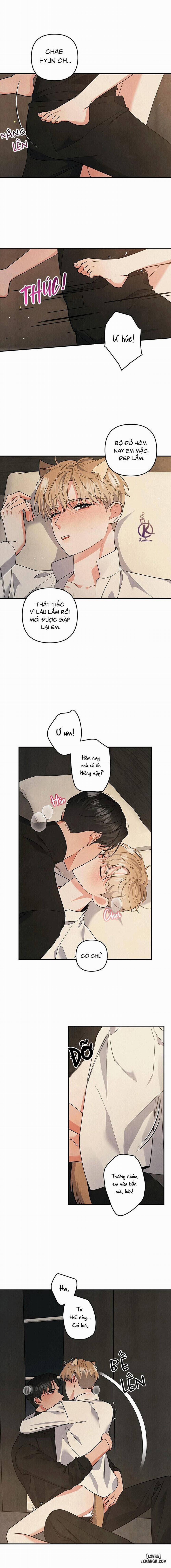 Mối quan hệ vụng về 67 trang 8