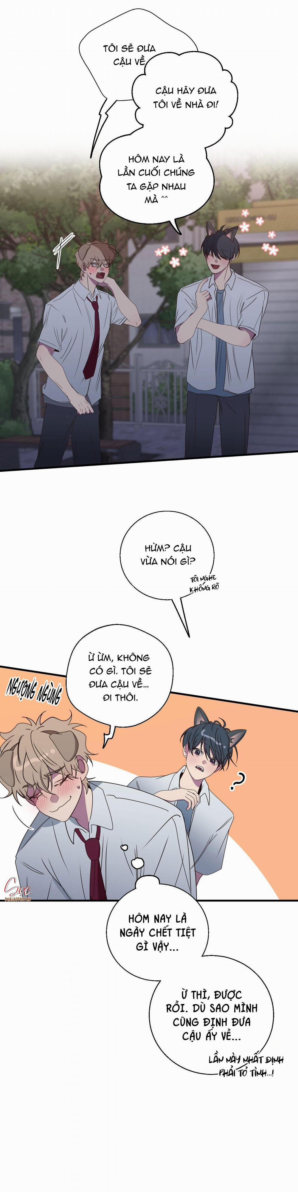 Mối Tình Bị Động 27 trang 20