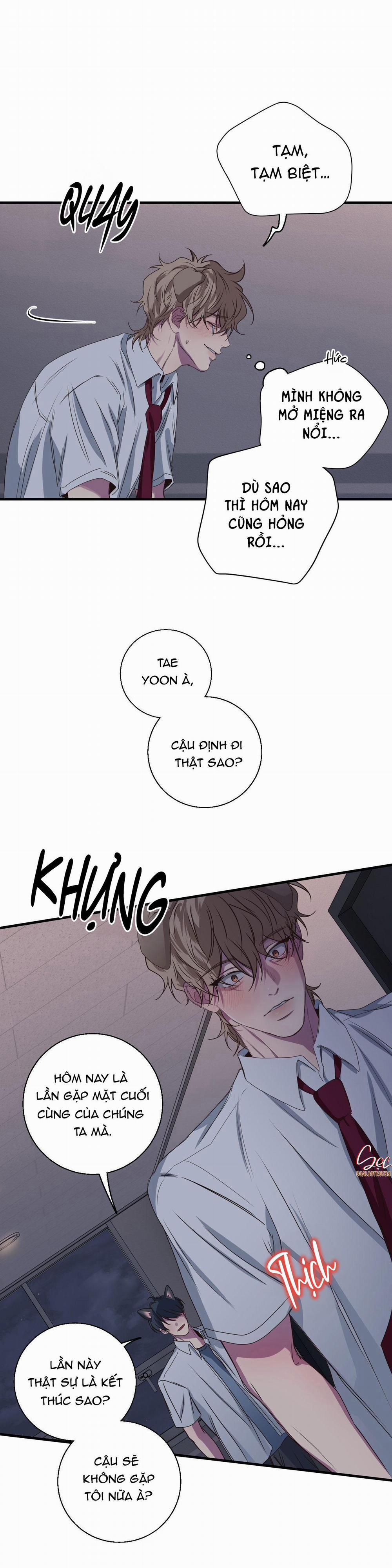 Mối Tình Bị Động 27 trang 23