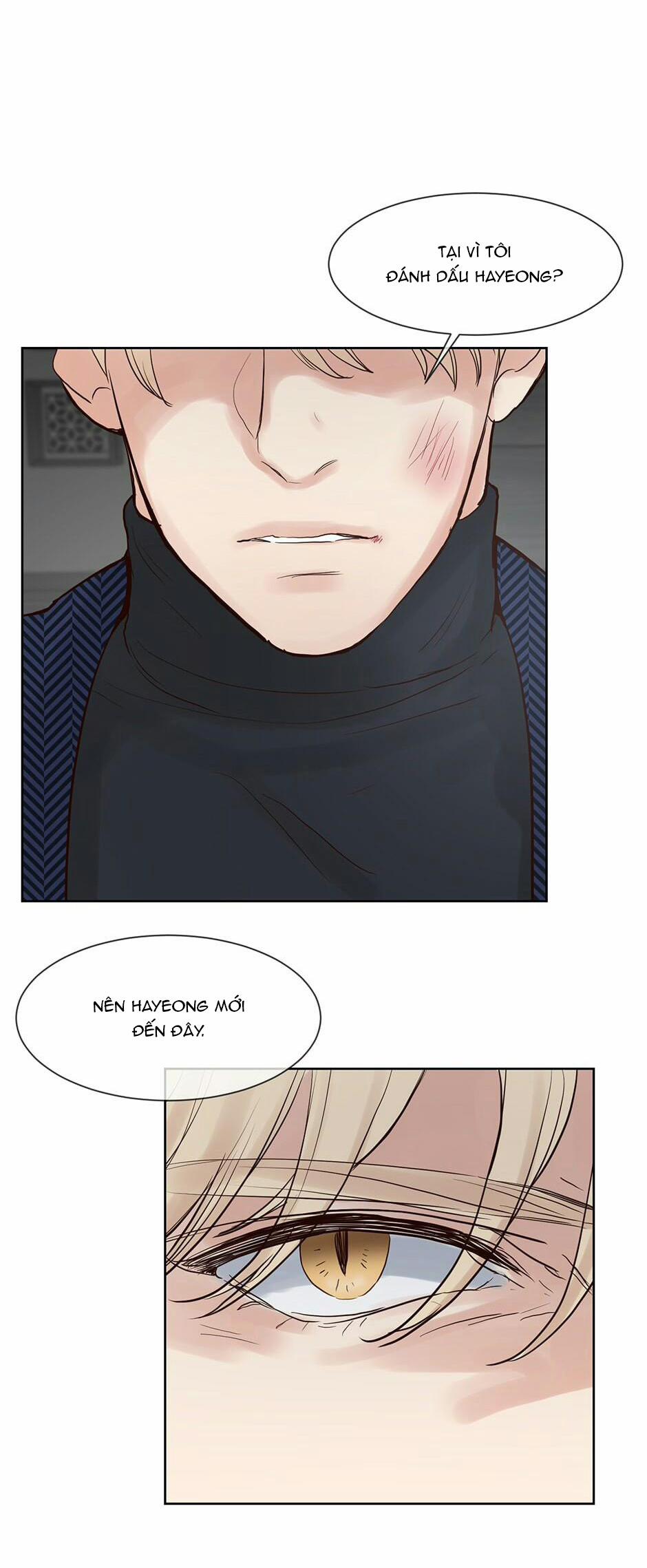 Mối Tình Chớp Nhoáng 43 trang 12