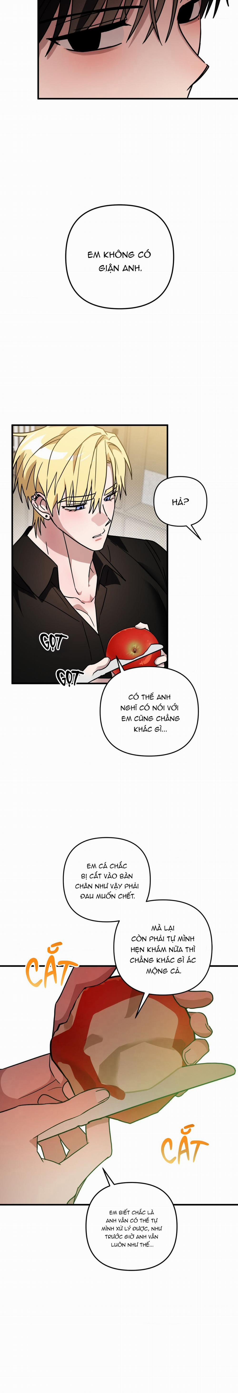 Mối Tình Lừa Đảo 20 trang 12