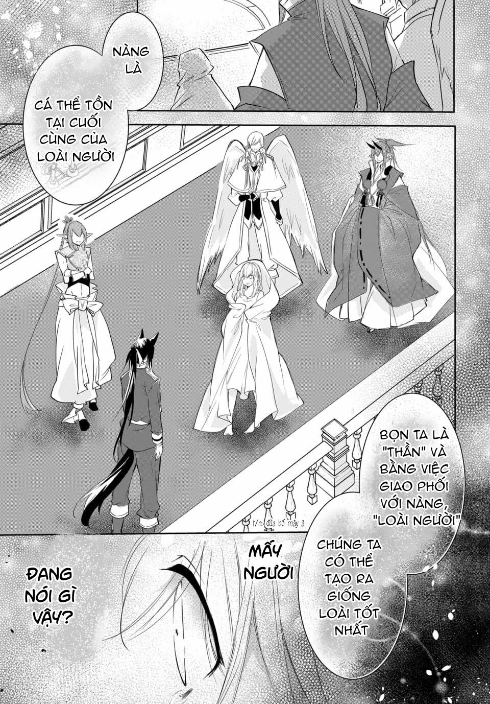 Mối Tình Ngoại Lai 1.2 trang 11