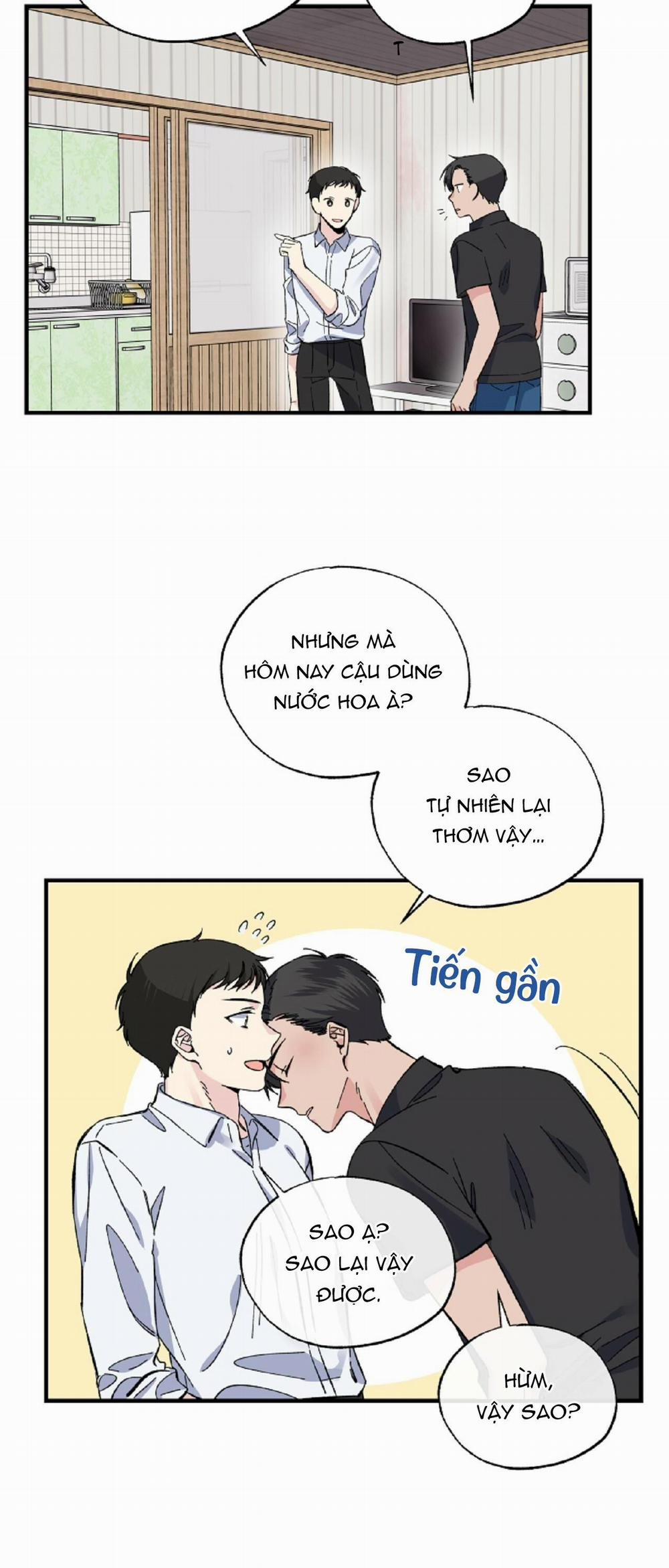 Môi 12 trang 1