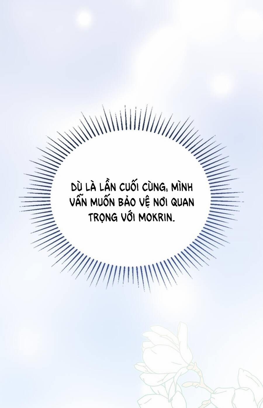 Mokrin 35.2 trang 14