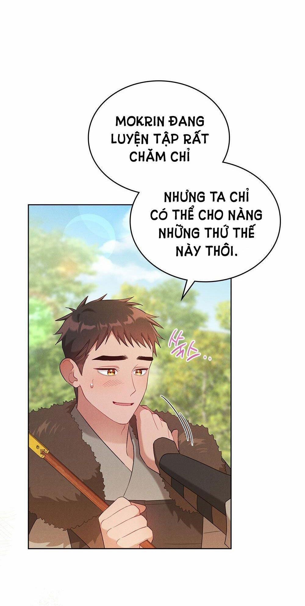 Mokrin 6.2 trang 0