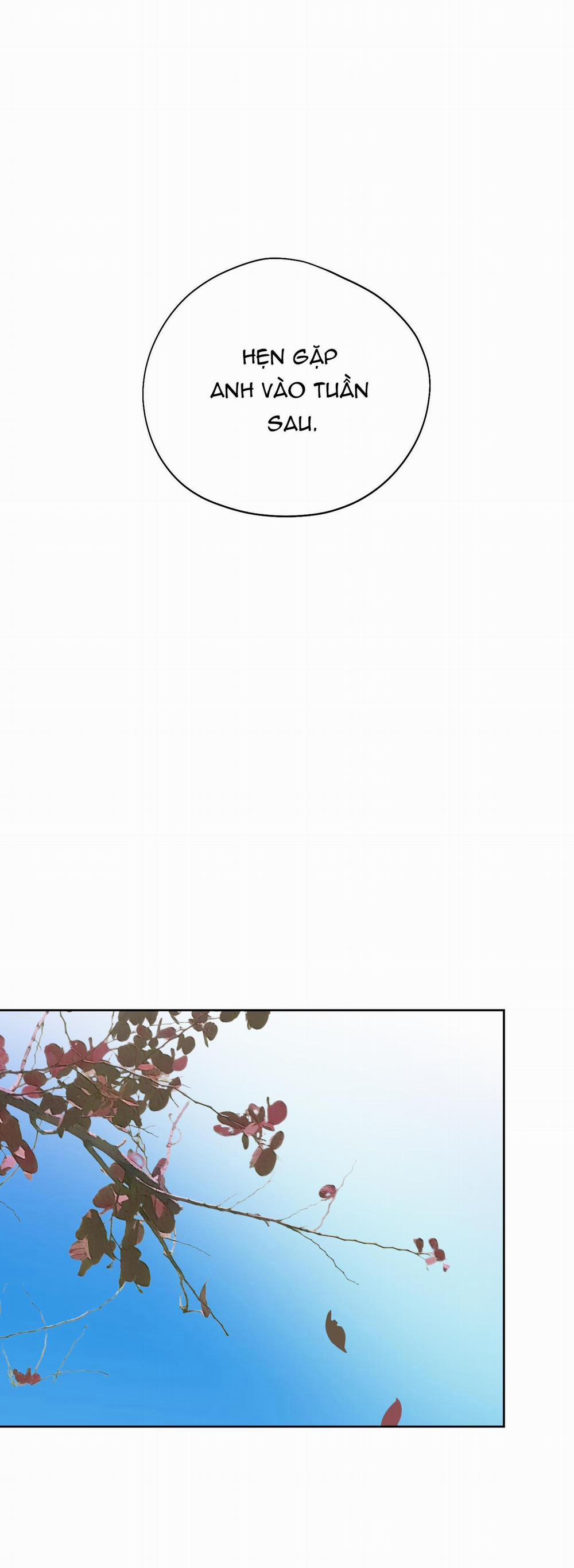 Món Quà Dành Cho Kẻ Ngạo Mạn 27 trang 65