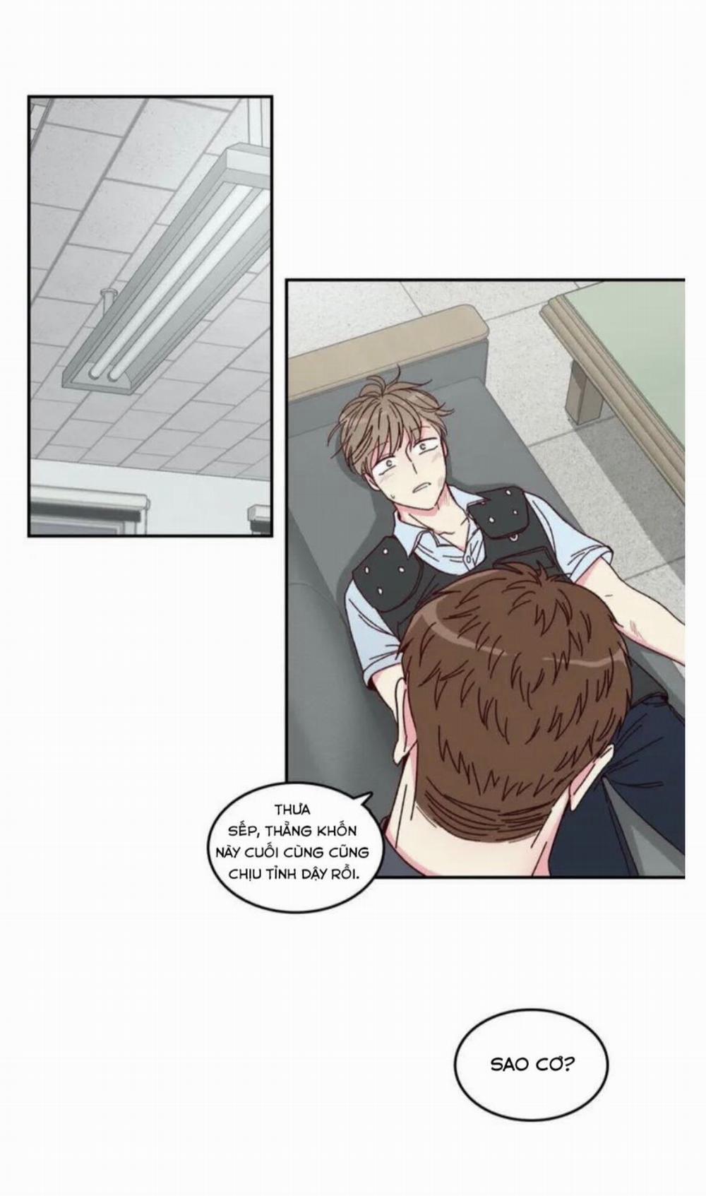 Món Tráng Miệng Của Sếp Tổng 1 trang 14