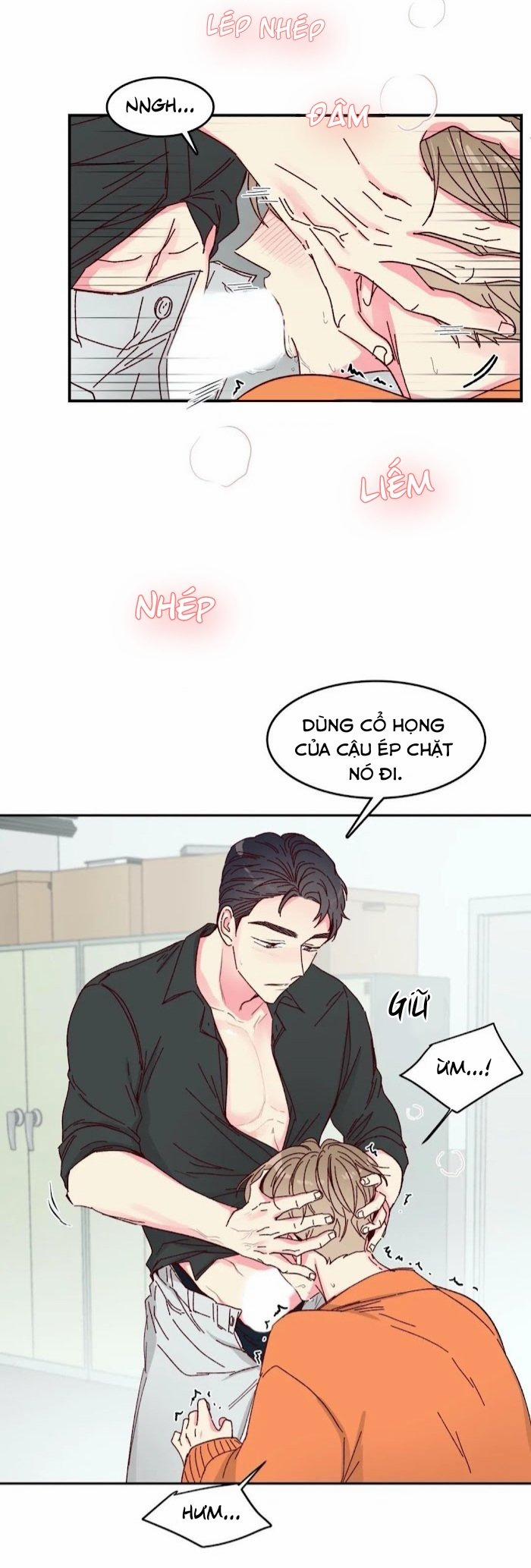 Món Tráng Miệng Của Sếp Tổng 10 trang 12