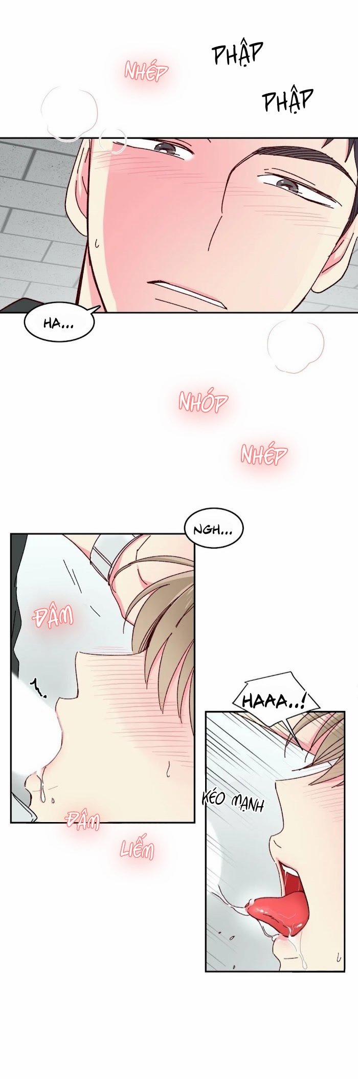 Món Tráng Miệng Của Sếp Tổng 10 trang 14