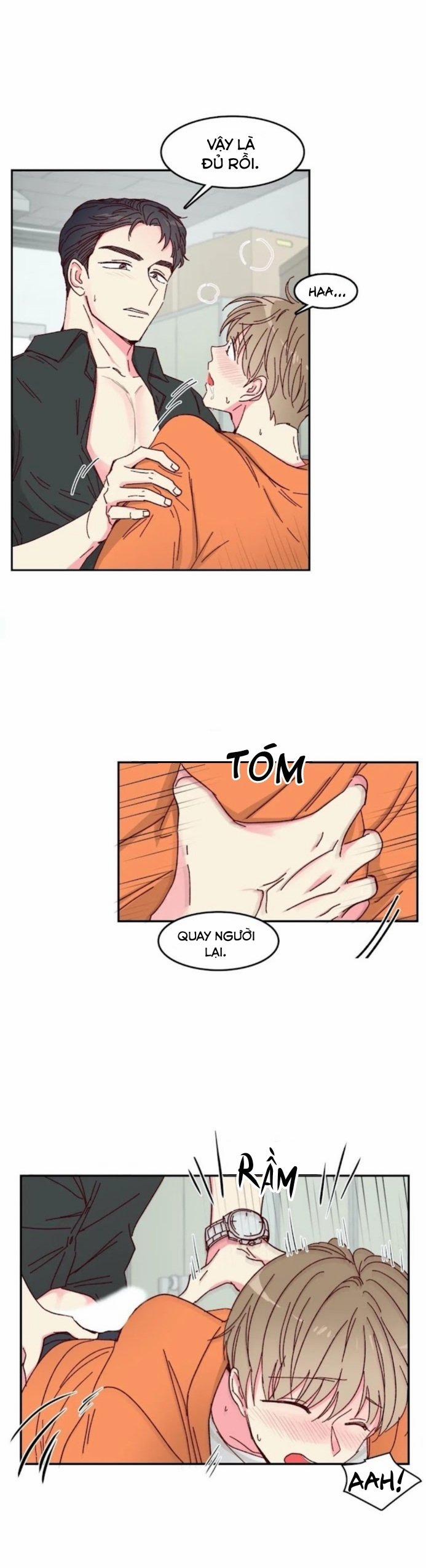 Món Tráng Miệng Của Sếp Tổng 10 trang 15