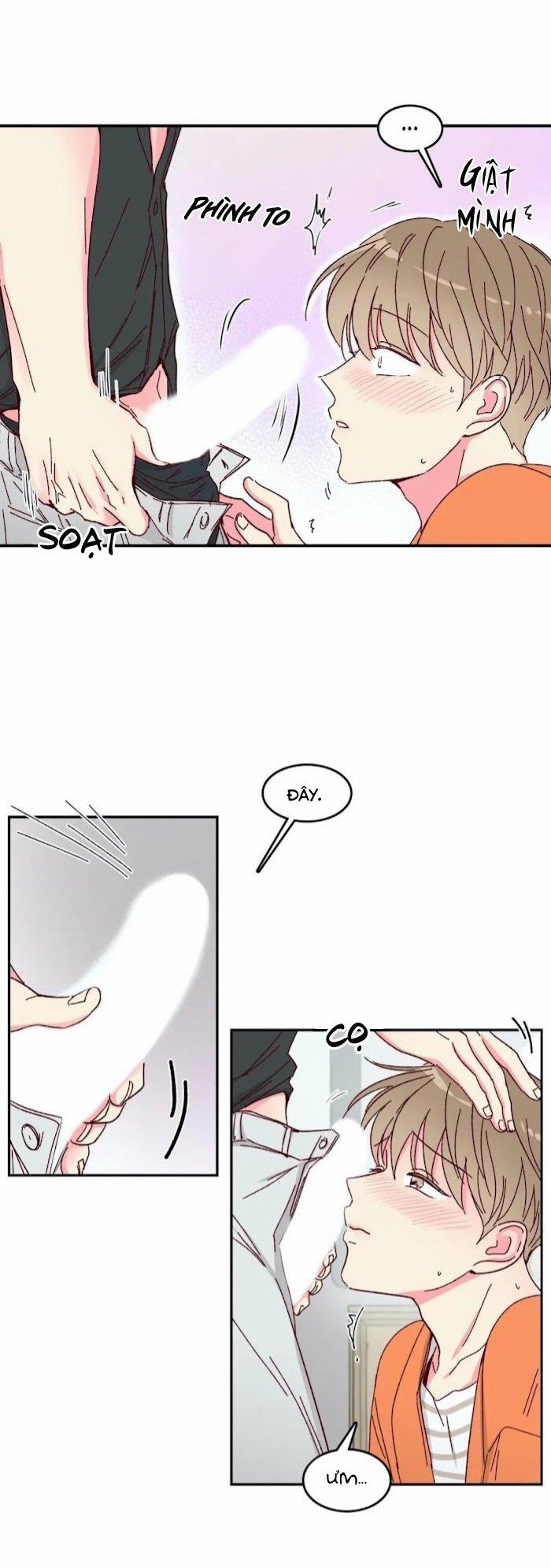 Món Tráng Miệng Của Sếp Tổng 10 trang 7