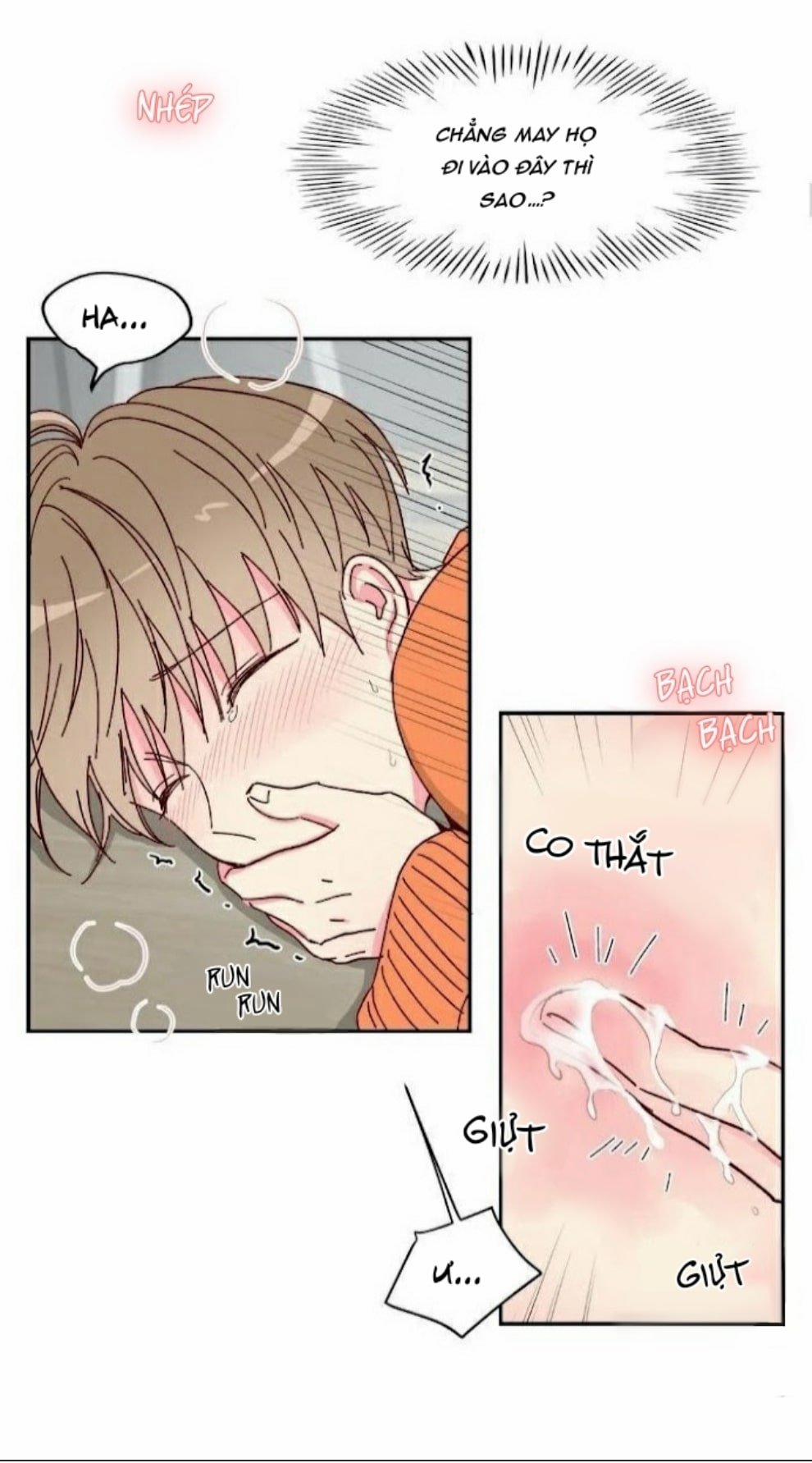 Món Tráng Miệng Của Sếp Tổng 11 trang 3