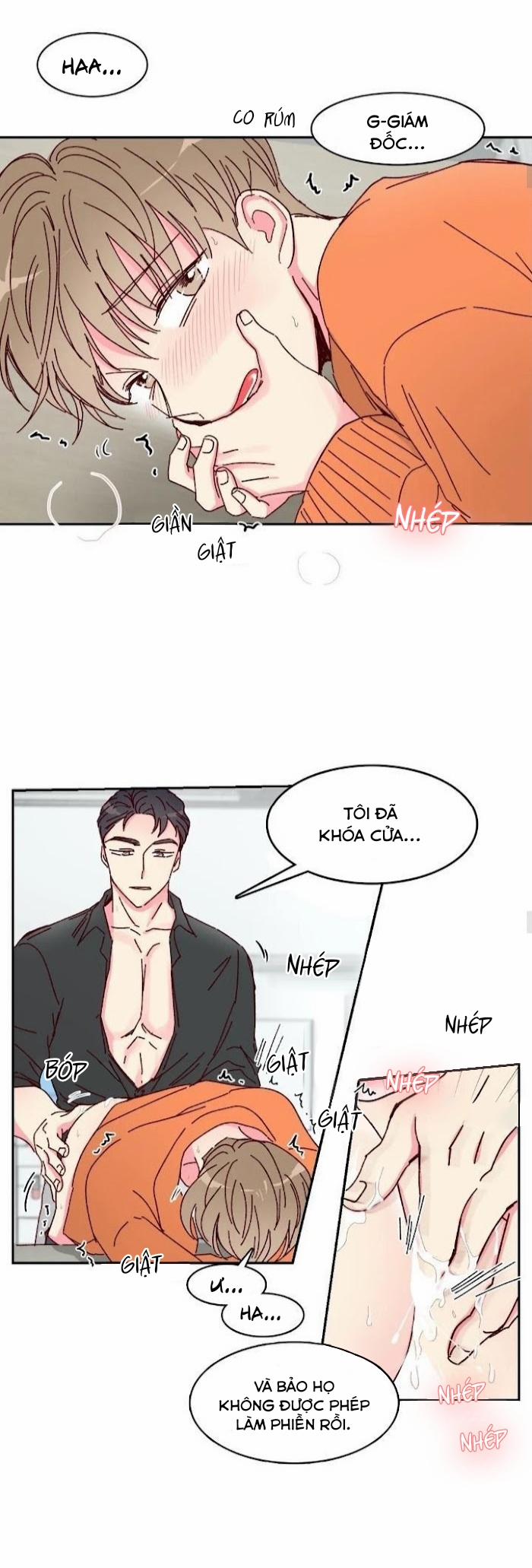 Món Tráng Miệng Của Sếp Tổng 11 trang 7