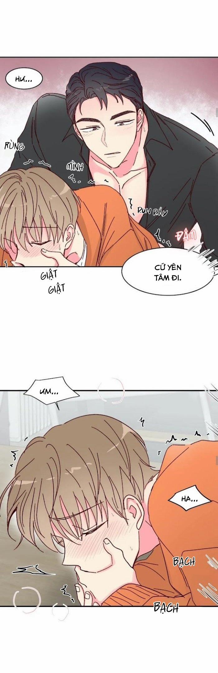 Món Tráng Miệng Của Sếp Tổng 11 trang 8