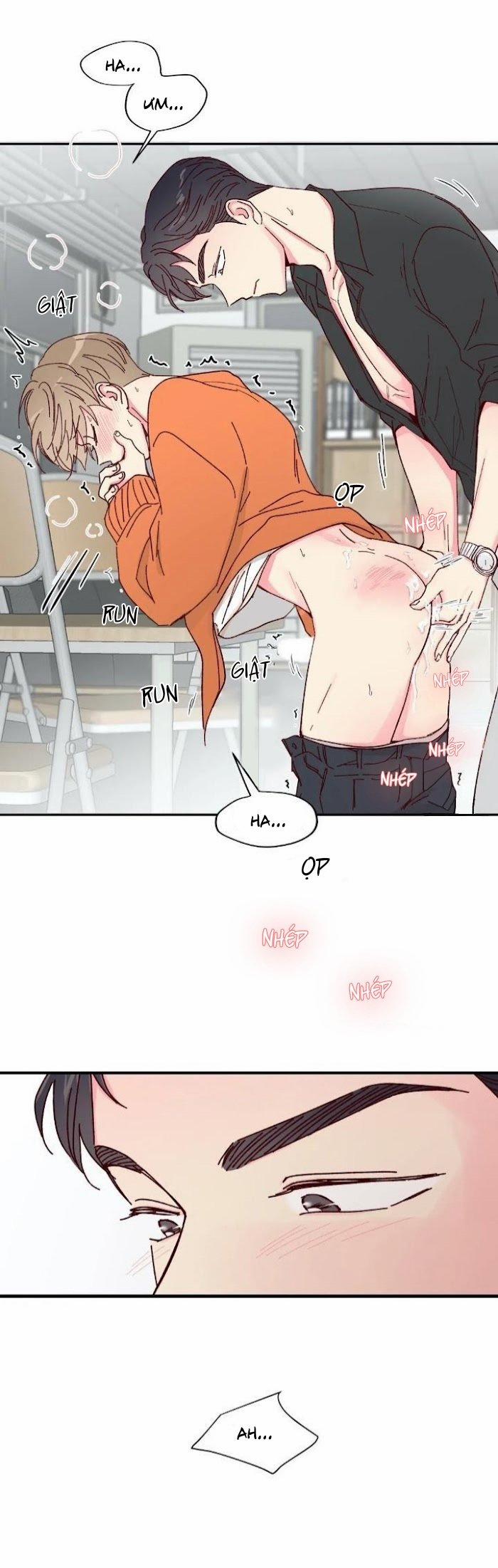 Món Tráng Miệng Của Sếp Tổng 11 trang 9