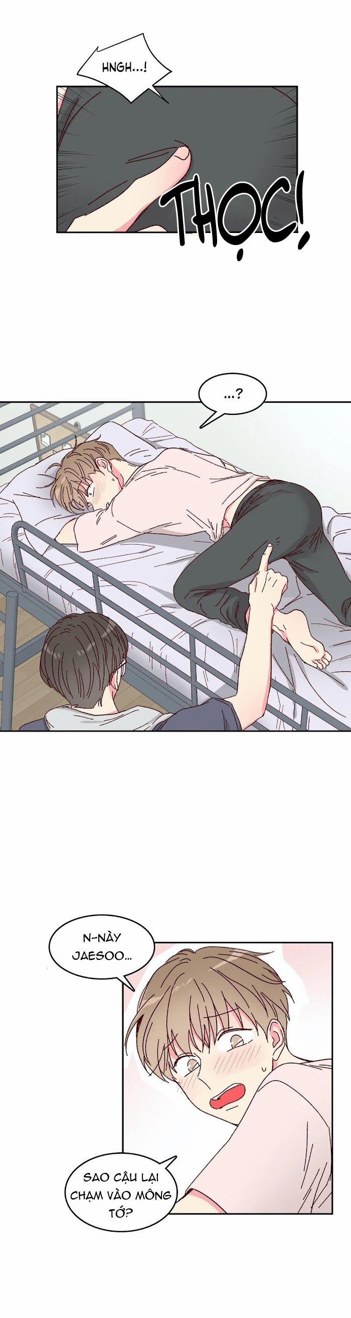 Món Tráng Miệng Của Sếp Tổng 12 trang 11