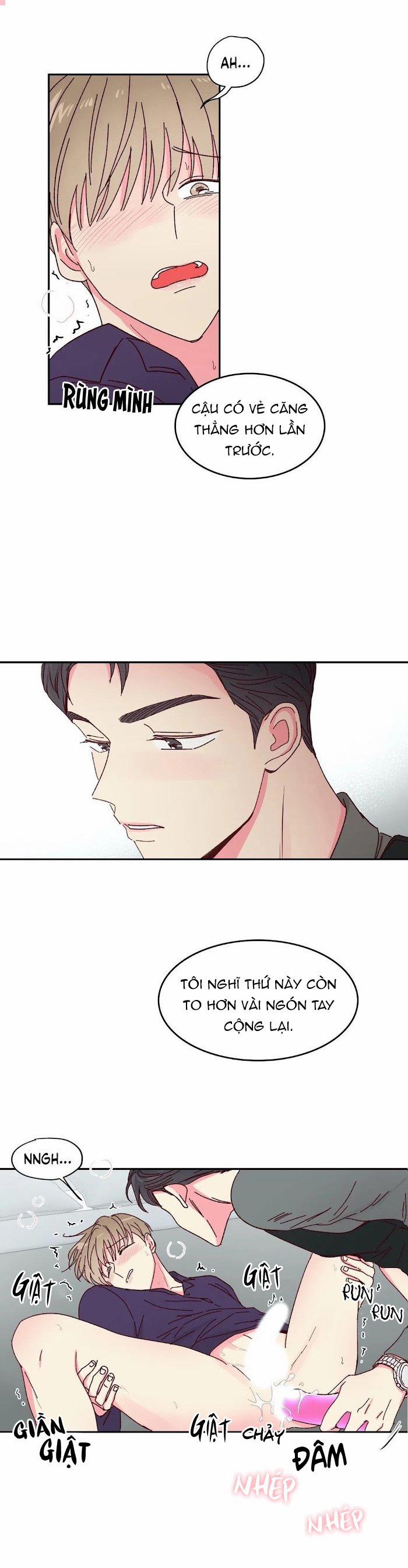 Món Tráng Miệng Của Sếp Tổng 13 trang 14