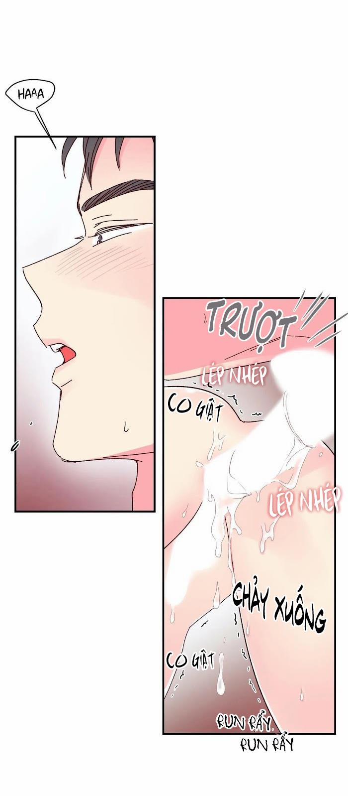 Món Tráng Miệng Của Sếp Tổng 14.5 trang 12