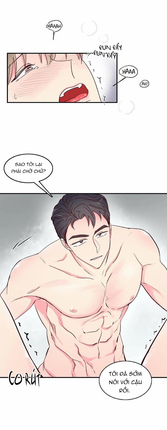 Món Tráng Miệng Của Sếp Tổng 14 trang 13