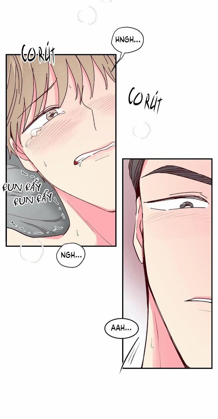 Món Tráng Miệng Của Sếp Tổng 14 trang 21