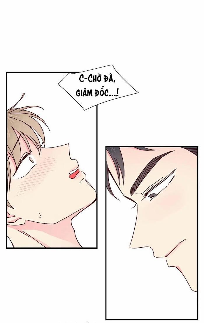 Món Tráng Miệng Của Sếp Tổng 14 trang 7