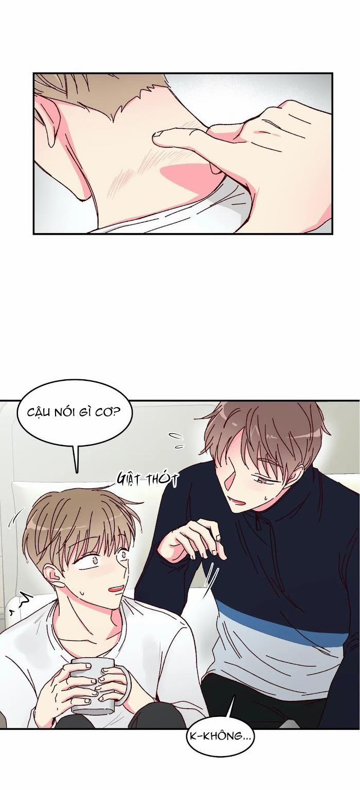 Món Tráng Miệng Của Sếp Tổng 15.5 trang 14