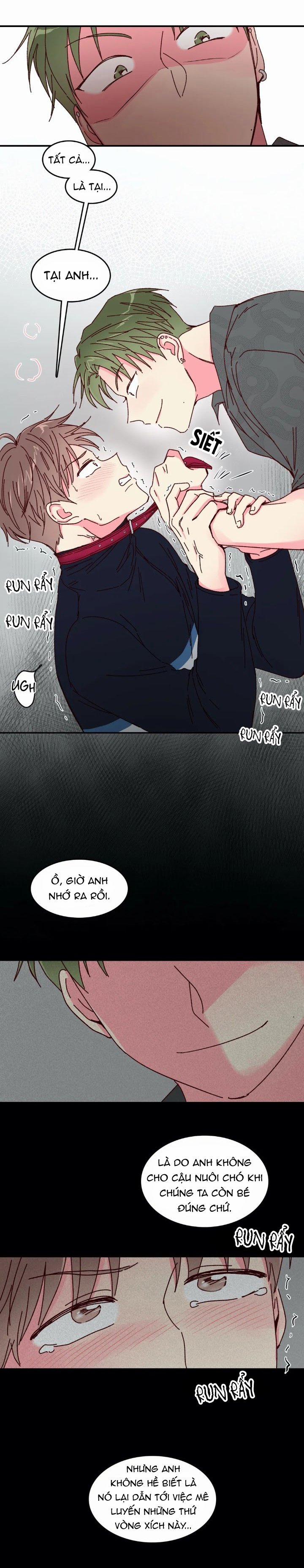Món Tráng Miệng Của Sếp Tổng 16 trang 13